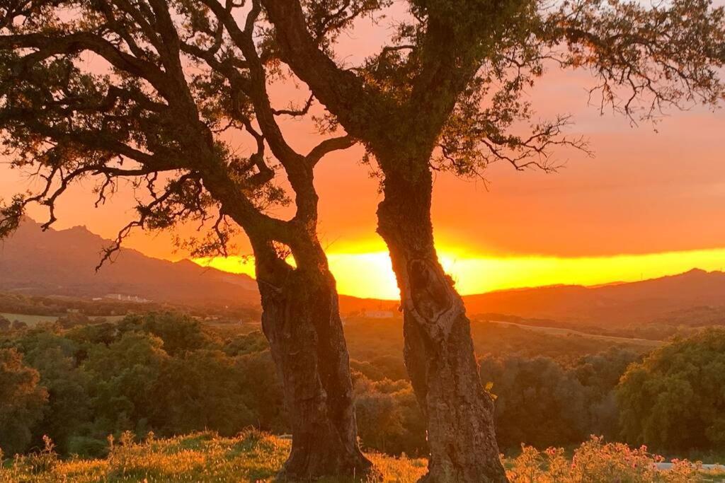 Maison Typique De Campagne Au Coeur De La Nature . Sartene  Luaran gambar